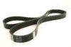 ASHIKA 112-6PK1635 V-Ribbed Belts